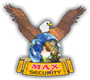 Max Vigil Security Expert Pvt. Ltd.
